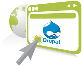 Drupal Development Services Company in Dubai